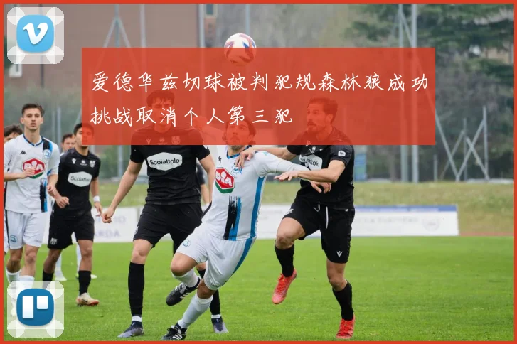 爱德华兹切球被判犯规森林狼成功挑战取消个人第三犯
