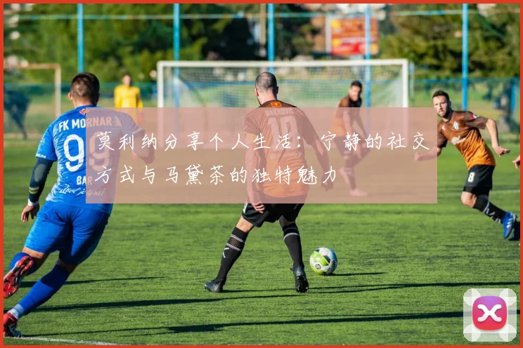 莫利纳分享个人生活：宁静的社交方式与马黛茶的独特魅力