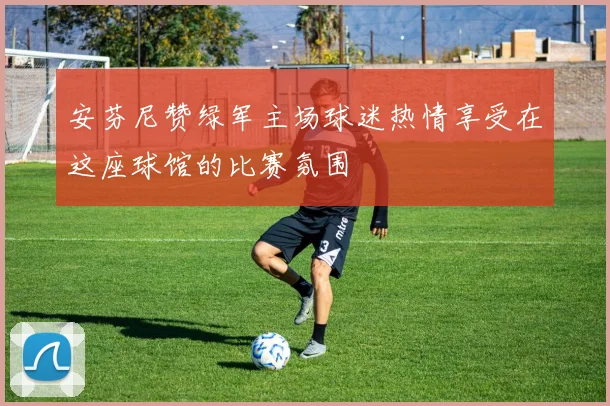 安芬尼赞绿军主场球迷热情享受在这座球馆的比赛氛围