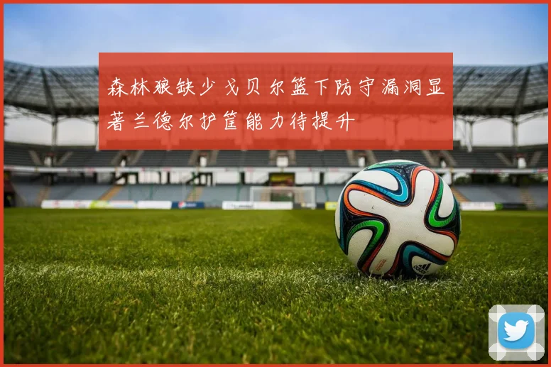 森林狼缺少戈贝尔篮下防守漏洞显著兰德尔护筐能力待提升