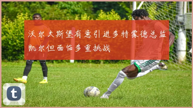 沃尔夫斯堡有意引进多特蒙德总监凯尔但面临多重挑战