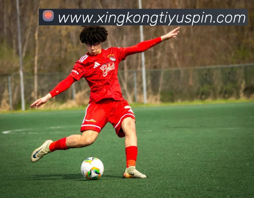 星空体育平台生态图